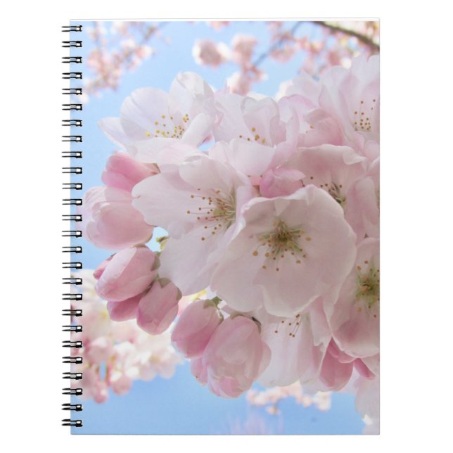 Caderno Espiral Pink Blossoms Blue Sky. (Frente)