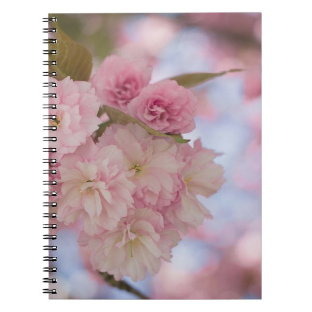 CADERNO ESPIRAL PINK CHERRY BLOSSOM EM FECHAR FOTOGRAFIA (Frente)