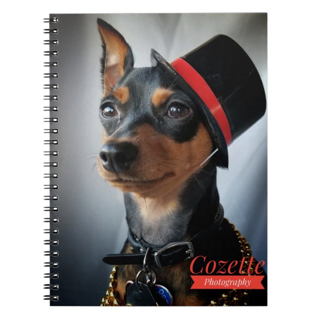 Caderno Espiral Pino MIn avançado (Frente)