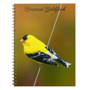 Caderno Espiral Pintassilgo Americano - Fotografia Original