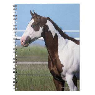 Caderno Espiral Pinte a posição do cavalo