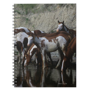 Caderno Espiral Pinte beber dos cavalos