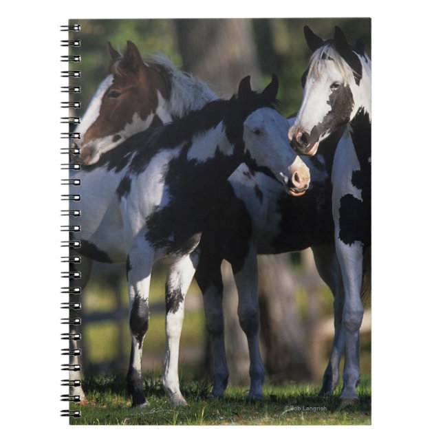 Caderno Espiral Pinte cavalos (Frente)