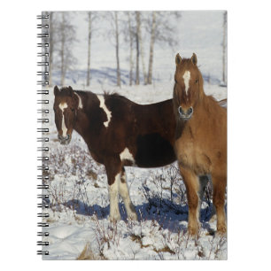 Caderno Espiral Pinte cavalos na neve