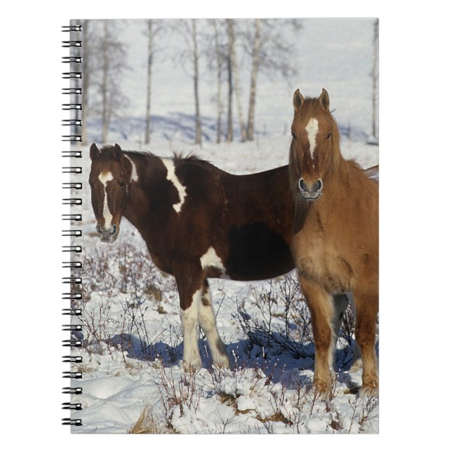 Caderno Espiral Pinte cavalos na neve (Frente)