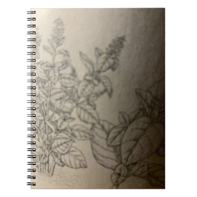 Caderno Espiral pinte manjericão. (Frente)