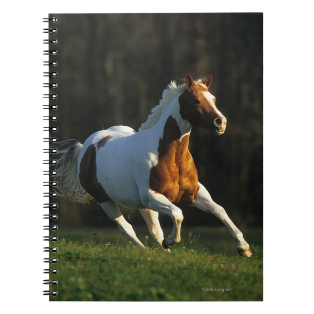 Caderno Espiral Pinte o cavalo que funciona rapidamente (Frente)