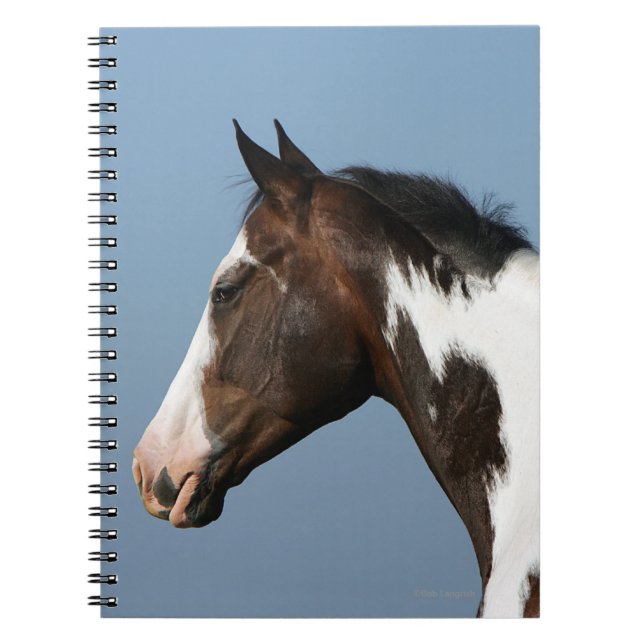 Caderno Espiral Pinte o Headshot 1 do cavalo (Frente)