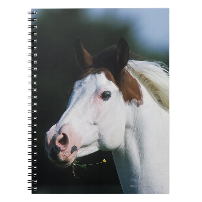 Caderno Espiral Pinte o Headshot 3 do cavalo (Frente)