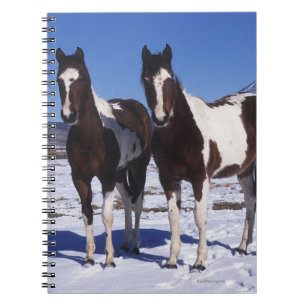 Caderno Espiral Pinte os cavalos que estão na neve