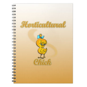 Caderno Espiral Pintinho