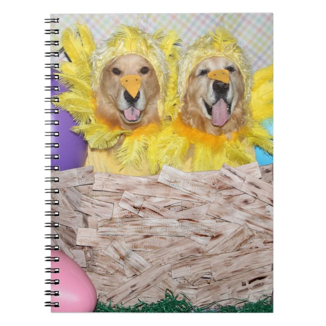 Caderno Espiral Pintinhos do golden retriever em um ninho (Frente)