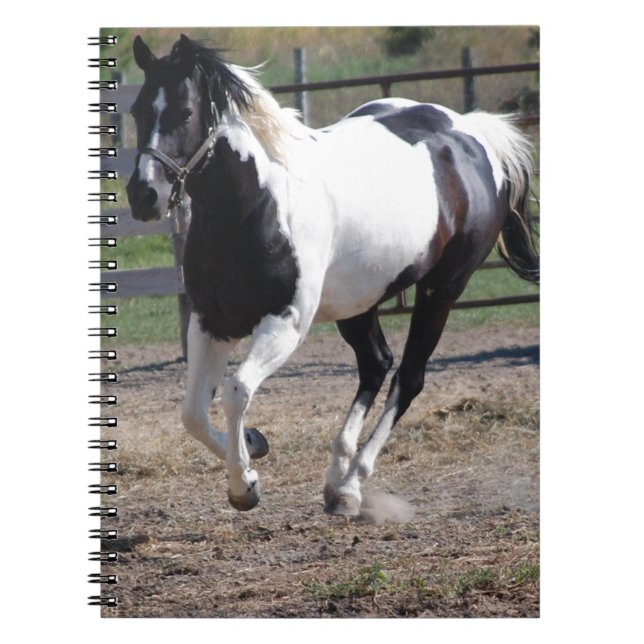 Caderno Espiral Pinto Paint Horse (Frente)