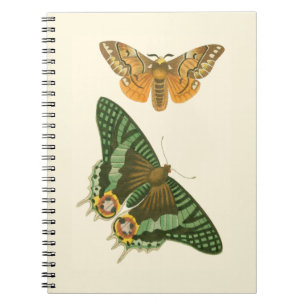 Caderno Espiral Pintura de Borboleta Ligeiramente Bordada