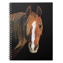 Pintura de cavalo