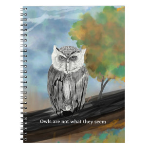 Caderno Espiral Pintura de Coruja Sazonal em Maravilhas da Naturez