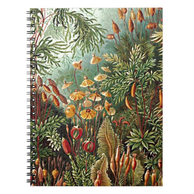 Caderno Espiral Pintura de Haeckel Moss, Grass e Fungus Mushroom (Frente)