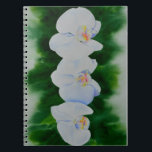 Caderno Espiral Pintura de orquídea branca Elegante tropical<br><div class="desc">Pintor de aquarela romântica original em orquídea branca por H Cooper-</div>
