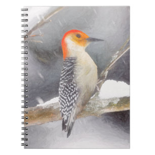 Caderno Espiral Pintura do Pica-Pau de Barriga Vermelha Arte Origi