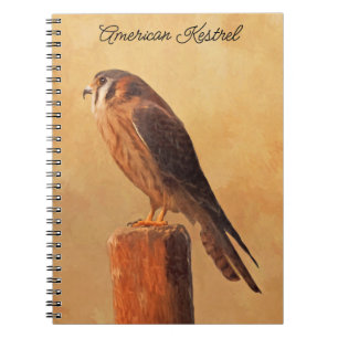 Caderno Espiral Pintura em Kestrel Americano - Arte original sobre