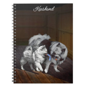 Caderno Espiral Pintura em tempo de reprodução de Keeshond - Arte