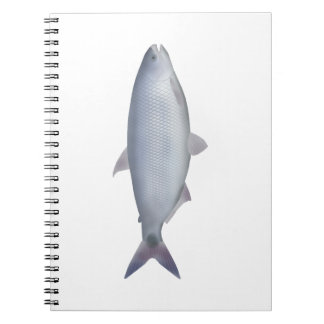 Caderno Espiral Pirapitinga