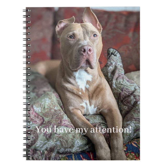 Caderno Espiral Pit Bull Bonito (Frente)