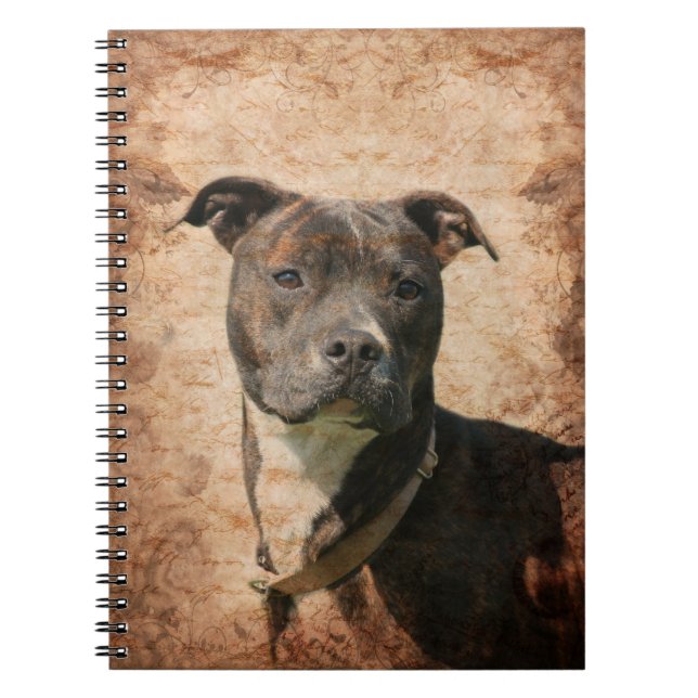Caderno Espiral Pit Bull Terrier (Frente)