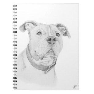 Caderno Espiral Pitbull, entendido mal