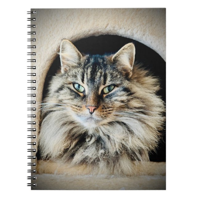 Caderno Espiral Pixie Spiral Notebook (Frente)