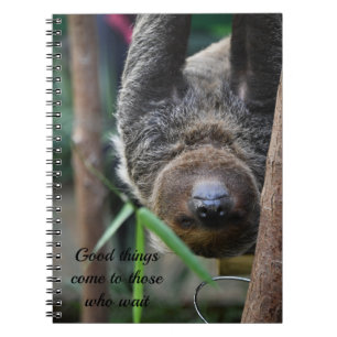 Caderno Espiral Placa Zoológica de Edimburgo Sloth Sang Out