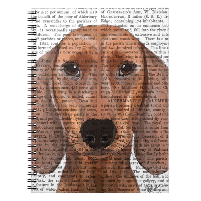 Caderno Espiral Planilha de Ilustração de Dachshund (Frente)