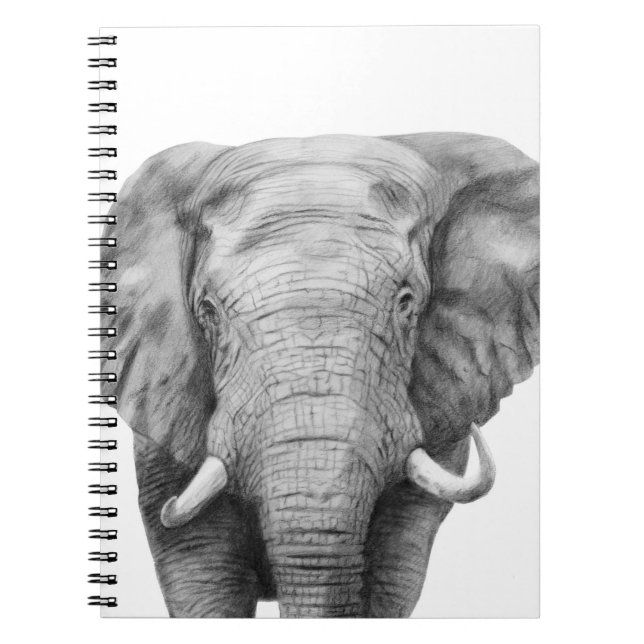 Caderno Espiral Plano de backup IV (Frente)