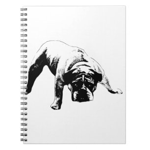 Caderno Espiral Planos com backbone
