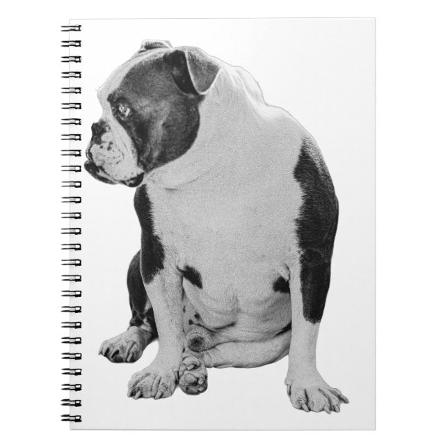 Caderno Espiral Planos com um amigo sentado (Frente)