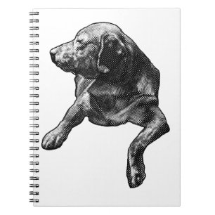Caderno Espiral Planos com um laboratório de ponto