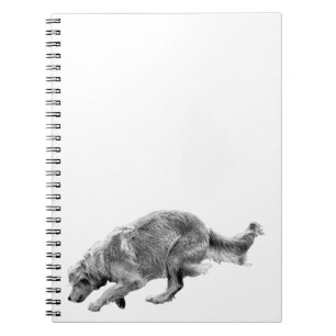 Caderno Espiral Planos com um Ouro em Execução