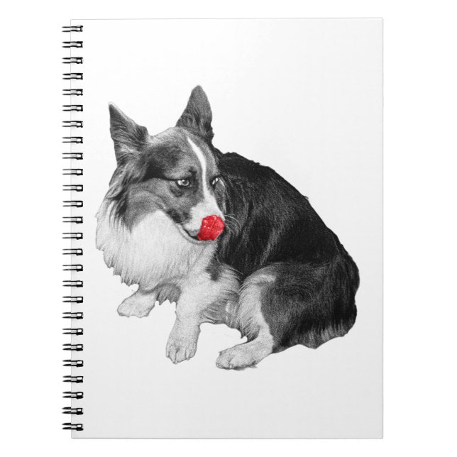 Caderno Espiral Planos com um Piscar os olhos de Cereja (Frente)
