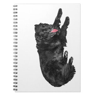 Caderno Espiral Planos de páginas nítidas, Amigo Ember-Tongue