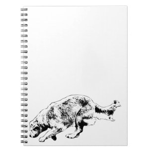 Caderno Espiral Planos e Reproduções com Ouro de Sprinting