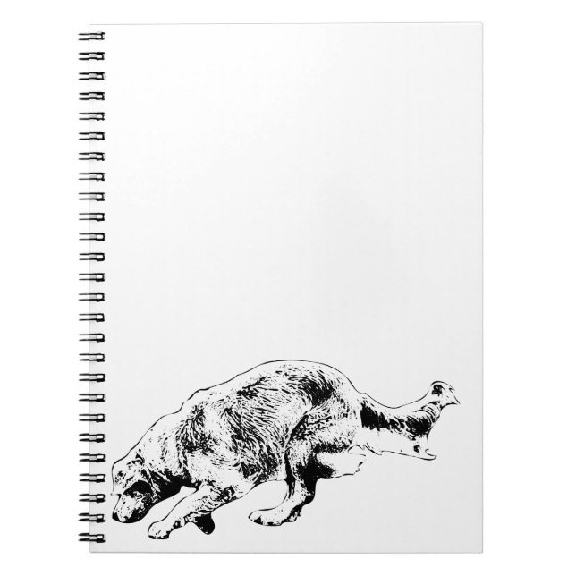 Caderno Espiral Planos e Reproduções com Ouro de Sprinting (Frente)