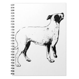 Caderno Espiral Planos, Mas Mais Brilhantes