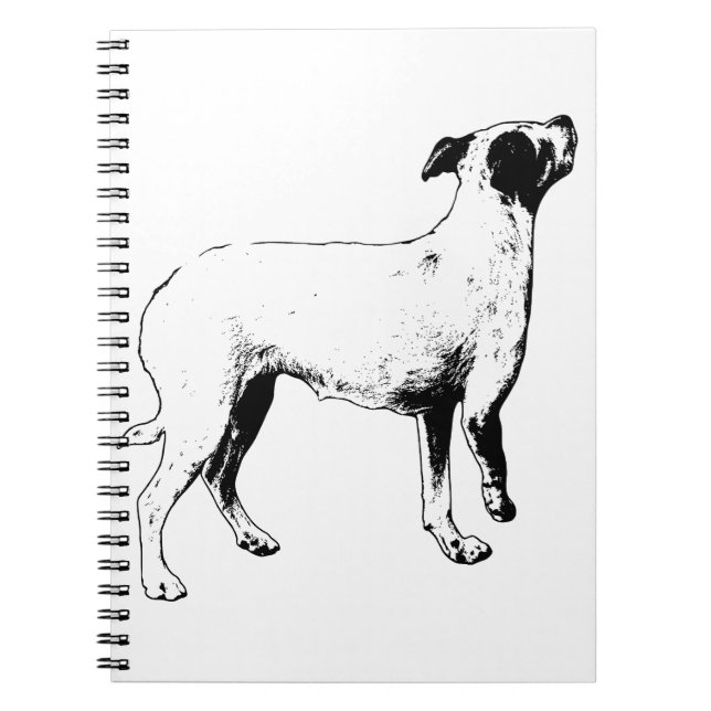 Caderno Espiral Planos, Mas Mais Brilhantes (Frente)