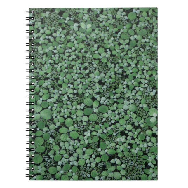 Caderno Espiral Planta de folha verde (Frente)