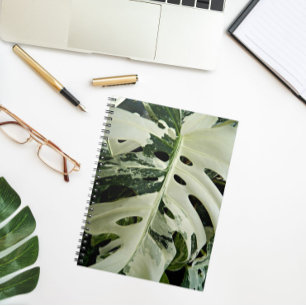 Caderno Espiral Planta De Monstera Variegada