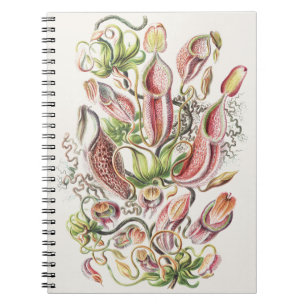 Caderno Espiral Planta Jarro Botânica Vintage Ernst Haeckel