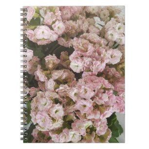 Caderno Espiral Planta rosa de Kalanchoe