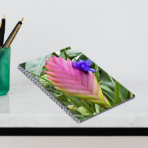 Planta Tropical Rosa Quill Planta Floral
