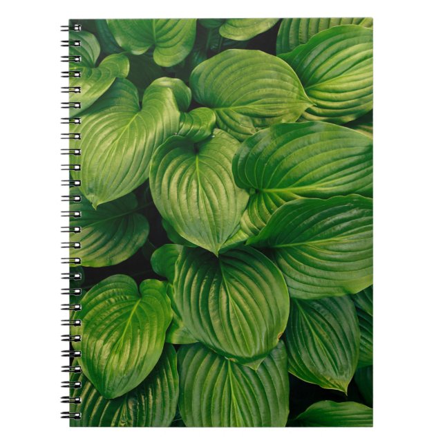 Caderno Espiral Planta verde (Frente)