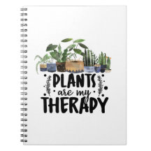 Plantas Botânicas Mínimas São Minha Terapia